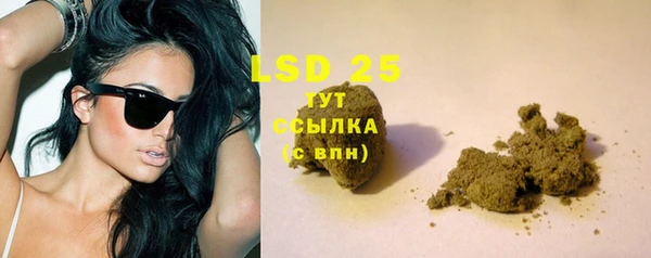 PSILOCYBIN Волосово