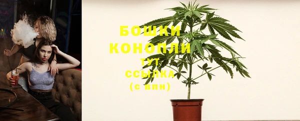 PSILOCYBIN Волосово