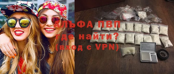 PSILOCYBIN Волосово