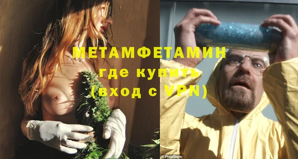 PSILOCYBIN Волосово