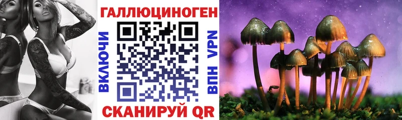 площадка наркотические препараты  Ессентукская  Галлюциногенные грибы прущие грибы 